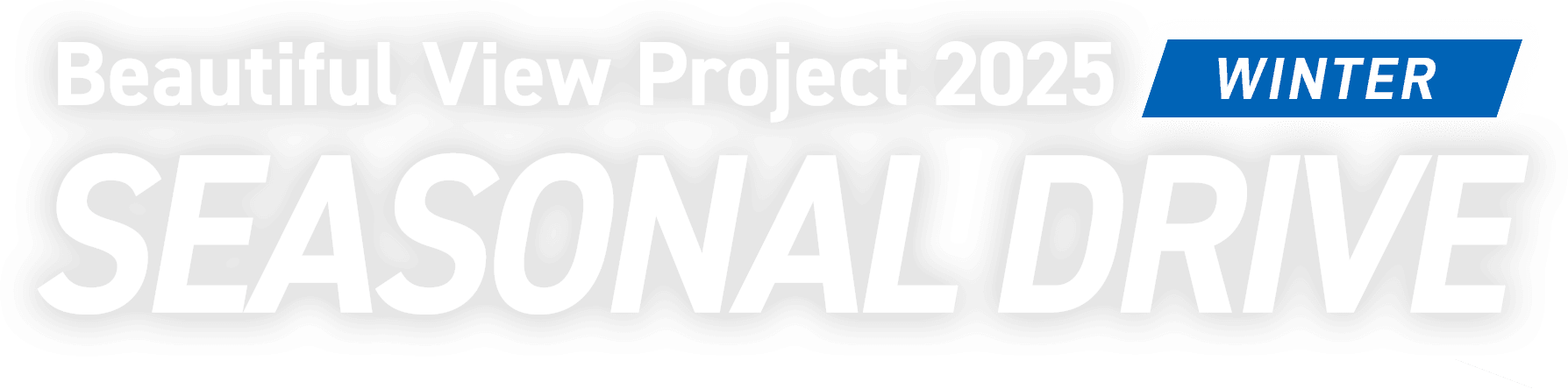 Beautiful View Project 2025 WINTER SEASONAL DRIVE