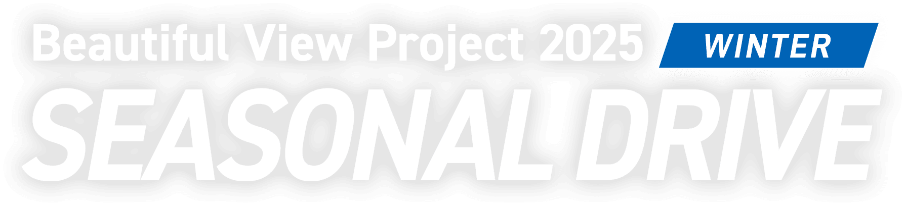 Beautiful View Project 2025 WINTER SEASONAL DRIVE