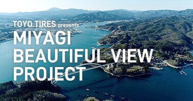 MIYAGI BEAUTIFUL VIEW PROJECT