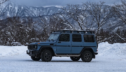 Mercedes Benz G350d professional