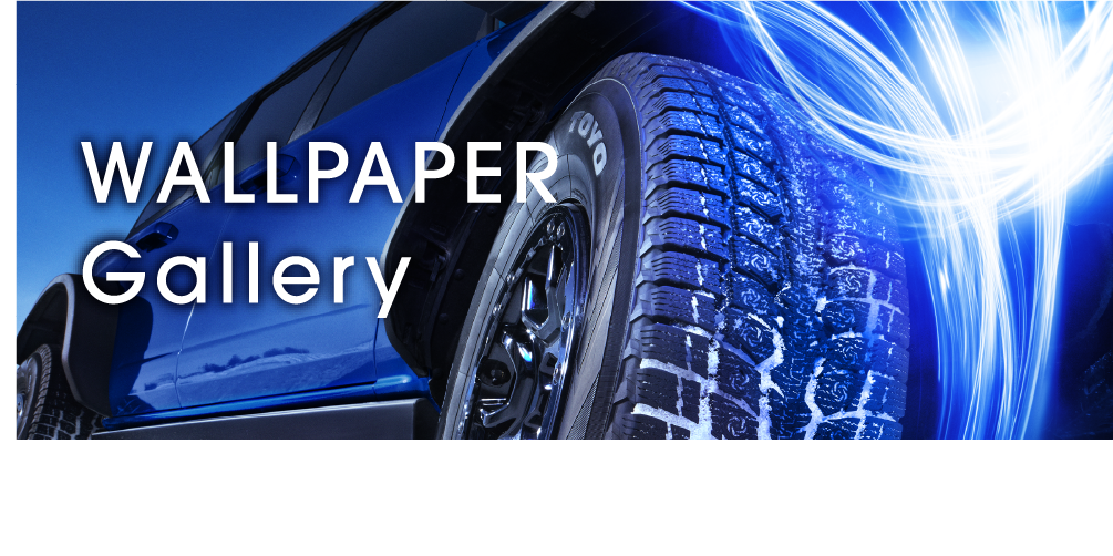WALLPAPER GALLERY