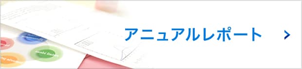 アニュアルレポート