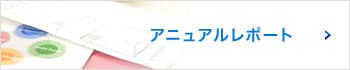 アニュアルレポート