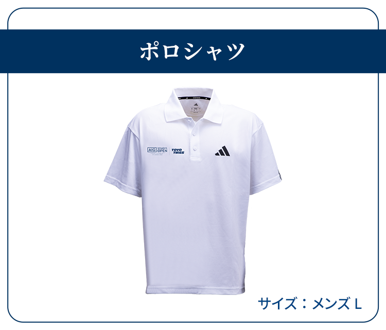 ポロシャツ（サイズ：メンズL）