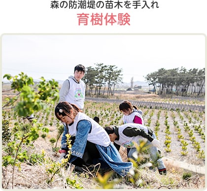 育樹体験