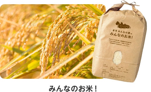 みんなのお米！