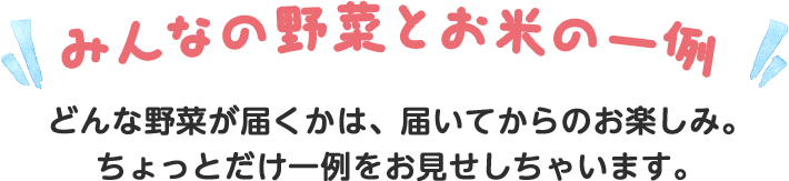 みんなの野菜の一例