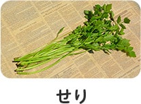 せり