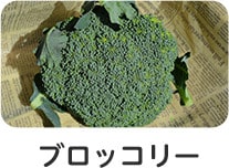 ブロッコリー