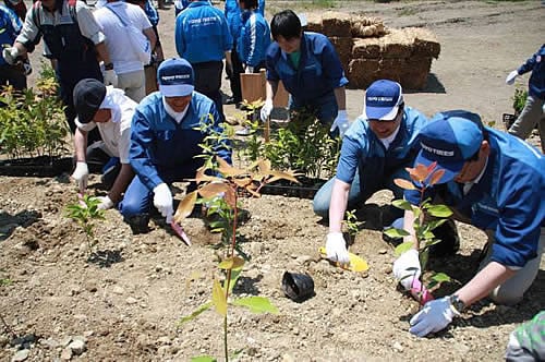 （昨年の植樹祭）