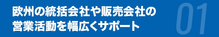 欧州の統括会社や販売会社の営業活動を幅広くサポート